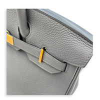 Birkin 30 Etain Top Handle Bag in Togo, Gold hardware