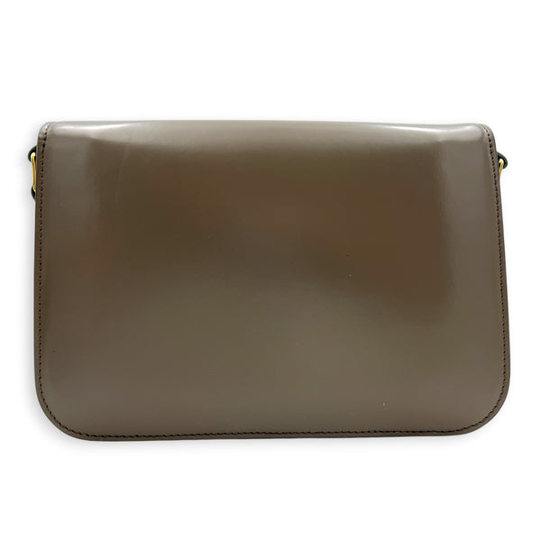 Triomphe Crossbody Bag Grey in Box, Gold hardware
