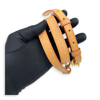 Petit Palais Top Handle Bag Brown in Monogram Coated Canvas, Gold hardware