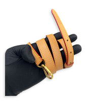 Petit Palais Top Handle Bag Brown in Monogram Coated Canvas, Gold hardware