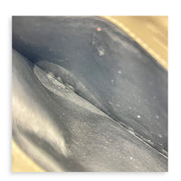 Intrecciato Grey Wallet in Lambskin, Ruthenium hardware