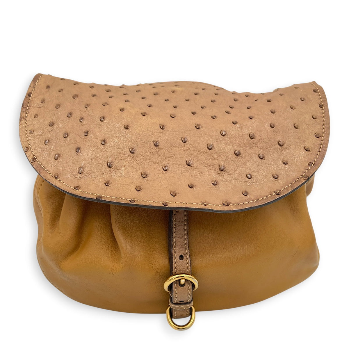 Tri Color Brown Shoulder Bag in Ostrich, Gold hardware