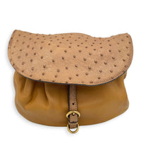 Tri Color Brown Shoulder Bag in Ostrich, Gold hardware
