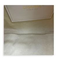 C25 Métiers d’art 2026 Mini Beige Shoulder Bag in Pony Hair, Gold hardware