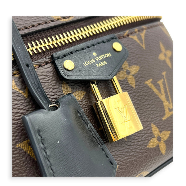 Nice Vanity Bag Nano  Monogram in Monogram Coated Canvas, Gold hardware