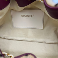C25 Métiers d’art 2026 Shoulder Bag Mini Beige in Pony Haie, Gold hardware
