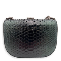 Kisslock Shoulder Bag Green in Python Leather, Silver hardware