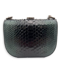 Kisslock Shoulder Bag Green in Python Leather, Silver hardware