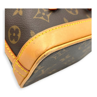 Noe Bucket Bag Nano Brown in Monogram Coated Canvas, Gold hardware