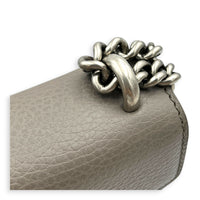 Dionysus Grey Shoulder Bag in Calfskin, Silver hardware