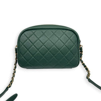 Camera Shoulder Bag Green in Lambskin, Gold hardware